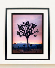 Load image into Gallery viewer, This artwork shows an almost silhouette of The Joshua Tree in the rural landscape of the Mojave Desert, southeastern California and southern Nevada. Captured at dusk as part of Richard Heeps’ 'Dream in Colour' series.