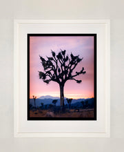 Load image into Gallery viewer, This artwork shows an almost silhouette of The Joshua Tree in the rural landscape of the Mojave Desert, southeastern California and southern Nevada. Captured at dusk as part of Richard Heeps’ 'Dream in Colour' series.