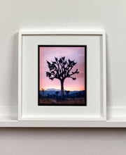 Load image into Gallery viewer, This artwork shows an almost silhouette of The Joshua Tree in the rural landscape of the Mojave Desert, southeastern California and southern Nevada. Captured at dusk as part of Richard Heeps’ 'Dream in Colour' series.