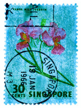 Load image into Gallery viewer, Singapore Stamp Collection '30 Cents Singapore Orchid Blue'. These historic postage stamps that make up the Heidler &amp; Heeps Stamp Collection, Singapore Series 'Postcards from Afar' have been given a twenty-first century pop art lease of life. The fine detailed tapestry of the original small postage stamp has been brought to life, made unique by the franking stamp and Heidler &amp; Heeps specialist darkroom process.