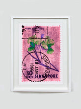 Load image into Gallery viewer, Singapore Stamp Collection '30 Cents Singapore Orchid Pink'. These historic postage stamps that make up the Heidler &amp; Heeps Stamp Collection, Singapore Series 'Postcards from Afar' have been given a twenty-first century pop art lease of life. The fine detailed tapestry of the original small postage stamp has been brought to life, made unique by the franking stamp and Heidler &amp; Heeps specialist darkroom process.