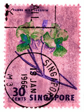 Load image into Gallery viewer, Singapore Stamp Collection '30 Cents Singapore Orchid Pink'. These historic postage stamps that make up the Heidler &amp; Heeps Stamp Collection, Singapore Series 'Postcards from Afar' have been given a twenty-first century pop art lease of life. The fine detailed tapestry of the original small postage stamp has been brought to life, made unique by the franking stamp and Heidler &amp; Heeps specialist darkroom process.