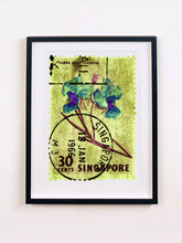 Load image into Gallery viewer, Singapore Stamp Collection '30 Cents Singapore Orchid Yellow'. These historic postage stamps that make up the Heidler &amp; Heeps Stamp Collection, Singapore Series 'Postcards from Afar' have been given a twenty-first century pop art lease of life. The fine detailed tapestry of the original small postage stamp has been brought to life, made unique by the franking stamp and Heidler &amp; Heeps specialist darkroom process.