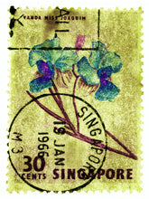 Load image into Gallery viewer, Singapore Stamp Collection '30 Cents Singapore Orchid Yellow'. These historic postage stamps that make up the Heidler &amp; Heeps Stamp Collection, Singapore Series 'Postcards from Afar' have been given a twenty-first century pop art lease of life. The fine detailed tapestry of the original small postage stamp has been brought to life, made unique by the franking stamp and Heidler &amp; Heeps specialist darkroom process.