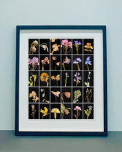 Load image into Gallery viewer, Poppy, 2019