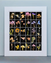 Load image into Gallery viewer, Poppy, 2019