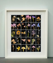 Load image into Gallery viewer, Poppy, 2019