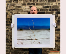 Load image into Gallery viewer, 'Florescence', from Richard Heeps' 'Dream in Colour' series was photographed in Panamint Valley, Death Valley National Park, California. This minimal landscape photograph uses a shallow depth of field emphasises a lone twig, a small sign of life, against a deep blue sky background.