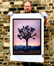 Load image into Gallery viewer, This artwork shows an almost silhouette of The Joshua Tree in the rural landscape of the Mojave Desert, southeastern California and southern Nevada. Captured at dusk as part of Richard Heeps’ 'Dream in Colour' series.