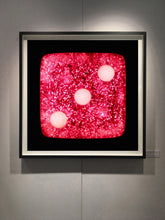 Load image into Gallery viewer, Raspberry Sparkles Three, 2017