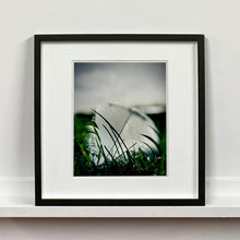 Load image into Gallery viewer, 0°00' longitude, 52° 19N' latitude, Feather, Mare Fen, Cambridgeshire, 2000