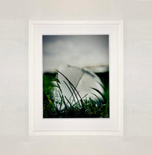 Load image into Gallery viewer, 0°00' longitude, 52° 19N' latitude, Feather, Mare Fen, Cambridgeshire, 2000