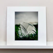 Load image into Gallery viewer, 0°00' longitude, 52° 19N' latitude, Feather, Mare Fen, Cambridgeshire, 2000