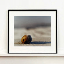 Load image into Gallery viewer, 0°00' longitude, 52°35N' latitude, Frozen Potato, Wisbech St Mary's Wash, 2000