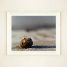 Load image into Gallery viewer, 0°00' longitude, 52°35N' latitude, Frozen Potato, Wisbech St Mary's Wash, 2000