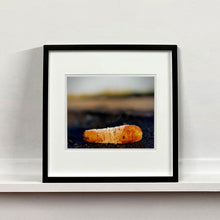Load image into Gallery viewer, 0°00' longitude, 52°37N' latitude, Frozen Carrot, Black Drove, Cambridgeshire 2001