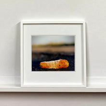 Load image into Gallery viewer, 0°00' longitude, 52°37N' latitude, Frozen Carrot, Black Drove, Cambridgeshire 2001