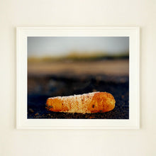 Load image into Gallery viewer, 0°00' longitude, 52°37N' latitude, Frozen Carrot, Black Drove, Cambridgeshire 2001