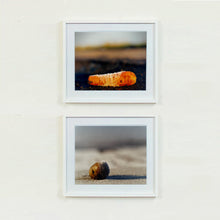 Load image into Gallery viewer, 0°00' longitude, 52°37N' latitude, Frozen Carrot, Black Drove, Cambridgeshire 2001