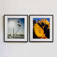 Load image into Gallery viewer, 0°00' longitude, 52° 19N' latitude, Teasel, Mare Fen, Cambridgeshire, 2000