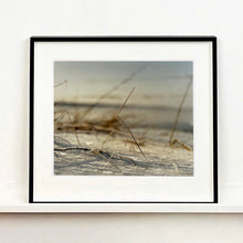 Load image into Gallery viewer, 0°00' longitude, 52°35N' latitude, Twig, Wisbech St Mary's Wash 2000
