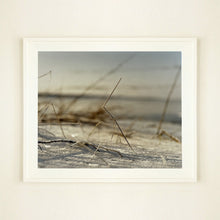 Load image into Gallery viewer, 0°00' longitude, 52°35N' latitude, Twig, Wisbech St Mary's Wash 2000