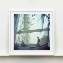 Load image into Gallery viewer, Snake Dips Down, Hong Kong, 1990