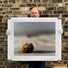 Load image into Gallery viewer, 0°00' longitude, 52°35N' latitude, Frozen Potato, Wisbech St Mary's Wash, 2000