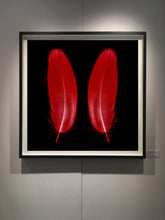 Load image into Gallery viewer, Scarlet Butterfly, 2017