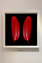 Load image into Gallery viewer, Scarlet Butterfly, 2017