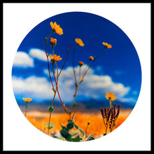 Load image into Gallery viewer, Hell's Gate, Death Valley, California, 2000