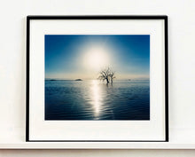 Load image into Gallery viewer, Towards Rock Hill, photographed by Richard in Bombay Beach, Salton Sea, California. The horizon intersected by sun rays, featuring a tree unexpectedly rising out of the lake gives this piece an ethereal quality. 