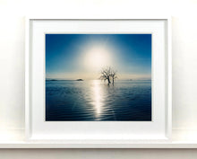 Load image into Gallery viewer, Towards Rock Hill, photographed by Richard in Bombay Beach, Salton Sea, California. The horizon intersected by sun rays, featuring a tree unexpectedly rising out of the lake gives this piece an ethereal quality. 