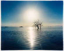 Load image into Gallery viewer, Towards Rock Hill, photographed by Richard in Bombay Beach, Salton Sea, California. The horizon intersected by sun rays, featuring a tree unexpectedly rising out of the lake gives this piece an ethereal quality. 