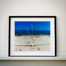 Load image into Gallery viewer, Dream in Colour Desert Installation