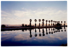 Load image into Gallery viewer, Zzyzx Resort Pool, part of Richard Heeps 'Dream in Colour' Series, he was set a challenge to find something interesting on the road from LA to Las Vegas. In the heart of the Mojave Desert, Richard found the former spa Zzyzx, an oasis. This dreamy artwork keeps the perfect summery palm print vibe all year round.